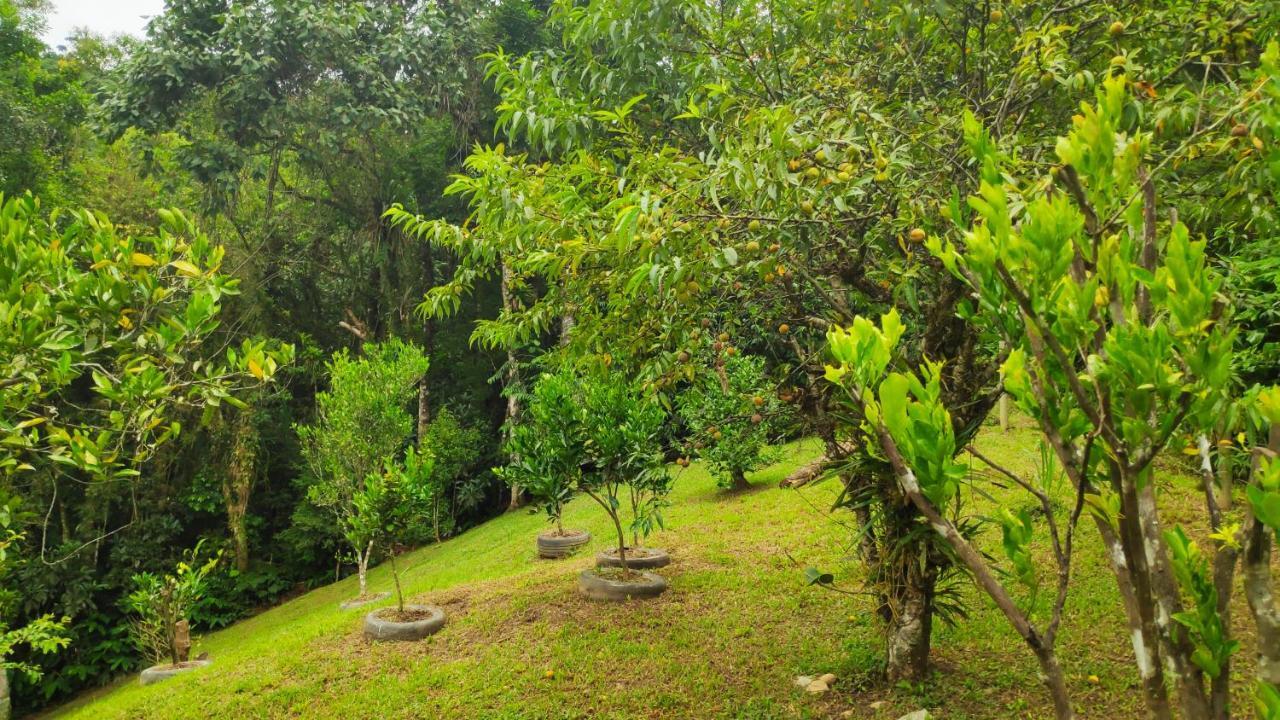Casa Dona Zeze Villa Visconde de Mauá Eksteriør bilde